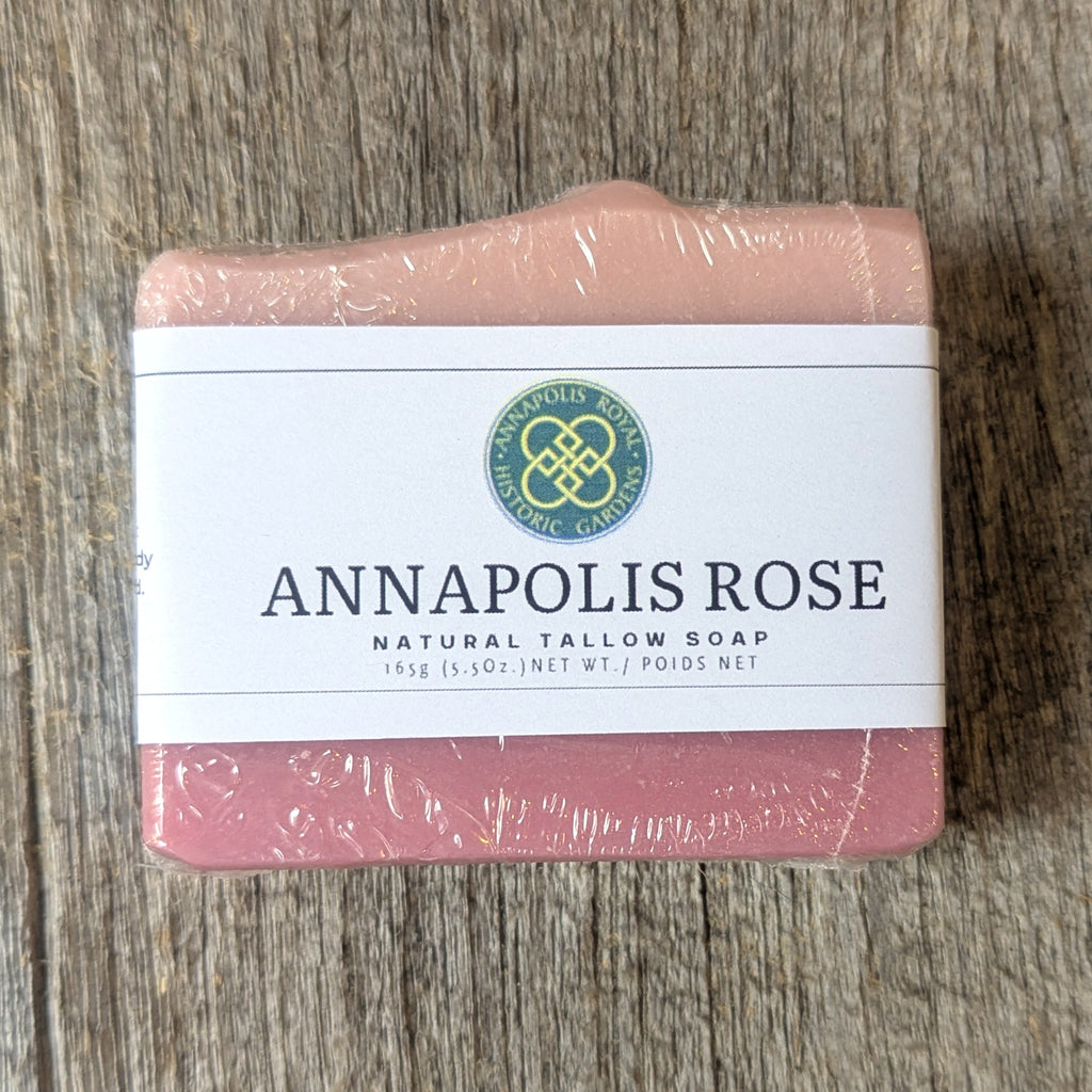Bayview Bath & Body Co. - Natural Tallow Soaps
