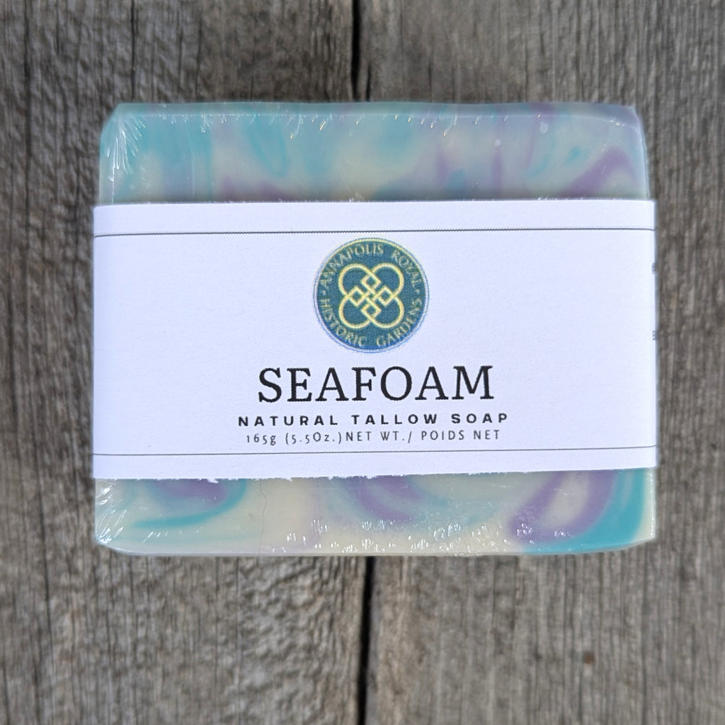 Bayview Bath & Body Co. - Natural Tallow Soaps
