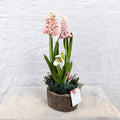 Chaba's Clay Flowers - Pink Hyacinth