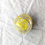 Glass Roots - Crystal Rose