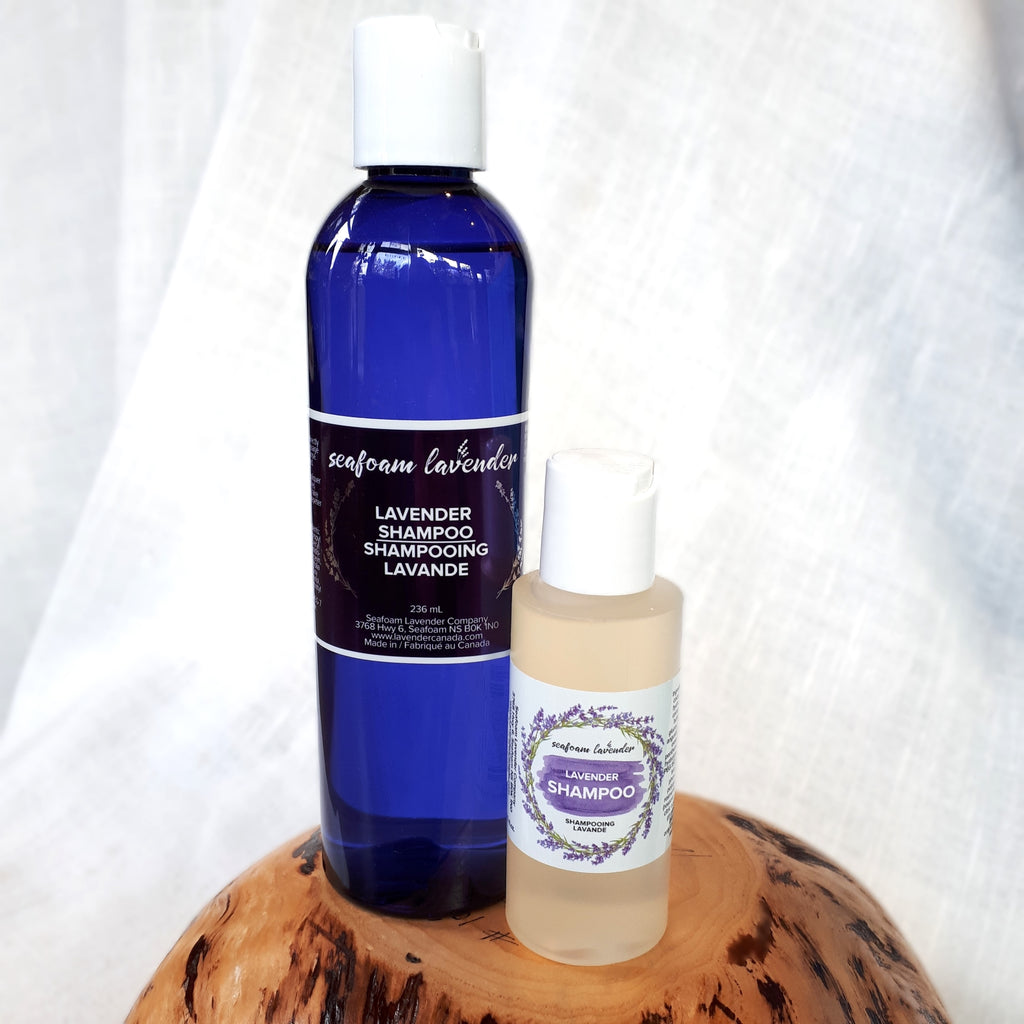 Seafoam Lavender Shampoo