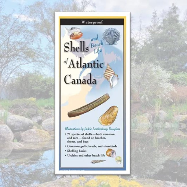 Folding Guide - Shells of Canada's Atlantic Coast – Annapolis Royal ...