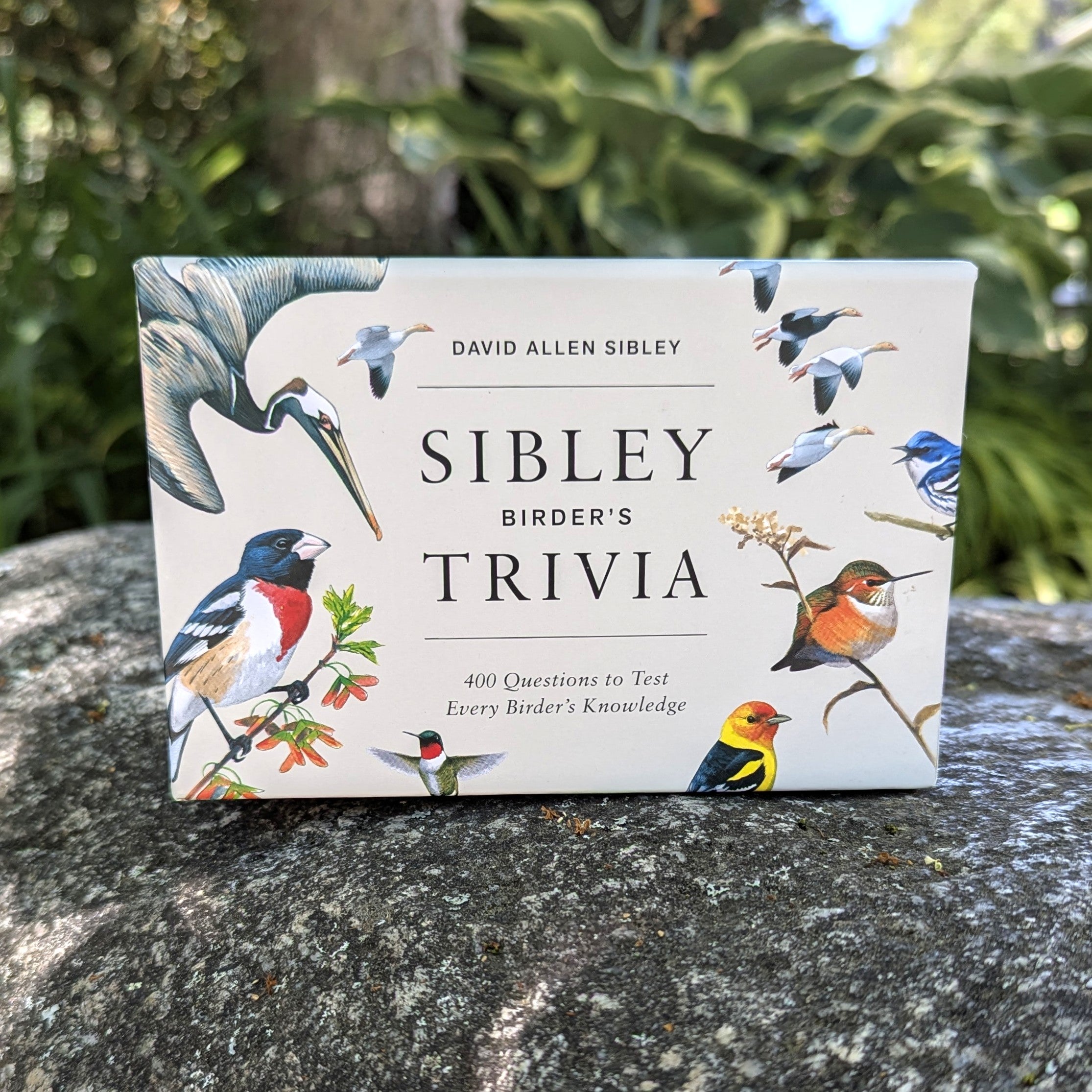 Sibley Birder's Trivia