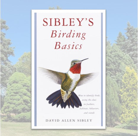 Sibley Birding Basics