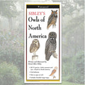 Folding Guide - Sibley's Owls of North America