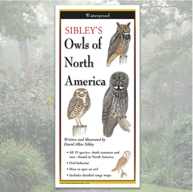 Folding Guide - Sibley's Owls of North America