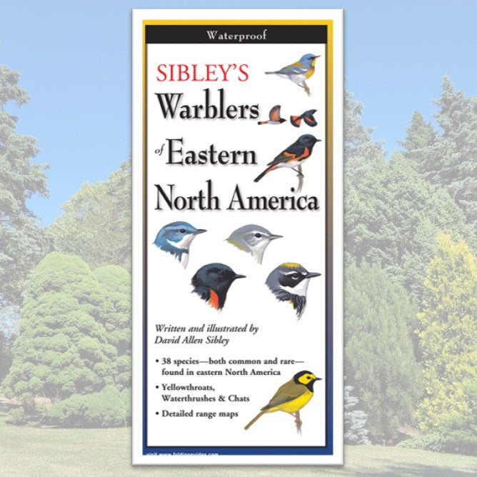 Folding Guide - Sibley's Warblers of Eastern North America