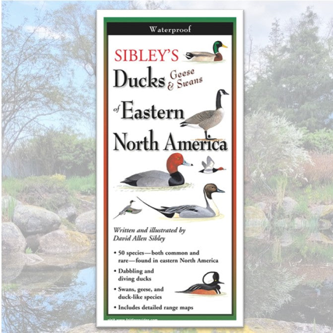 Folding Guide - Sibley's Ducks, Geese & Swans of Eastern North America