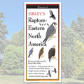 Folding Guide - Sibley's Raptors of Eastern North America