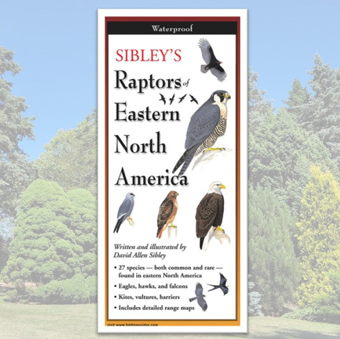 Folding Guide - Sibley's Raptors of Eastern North America