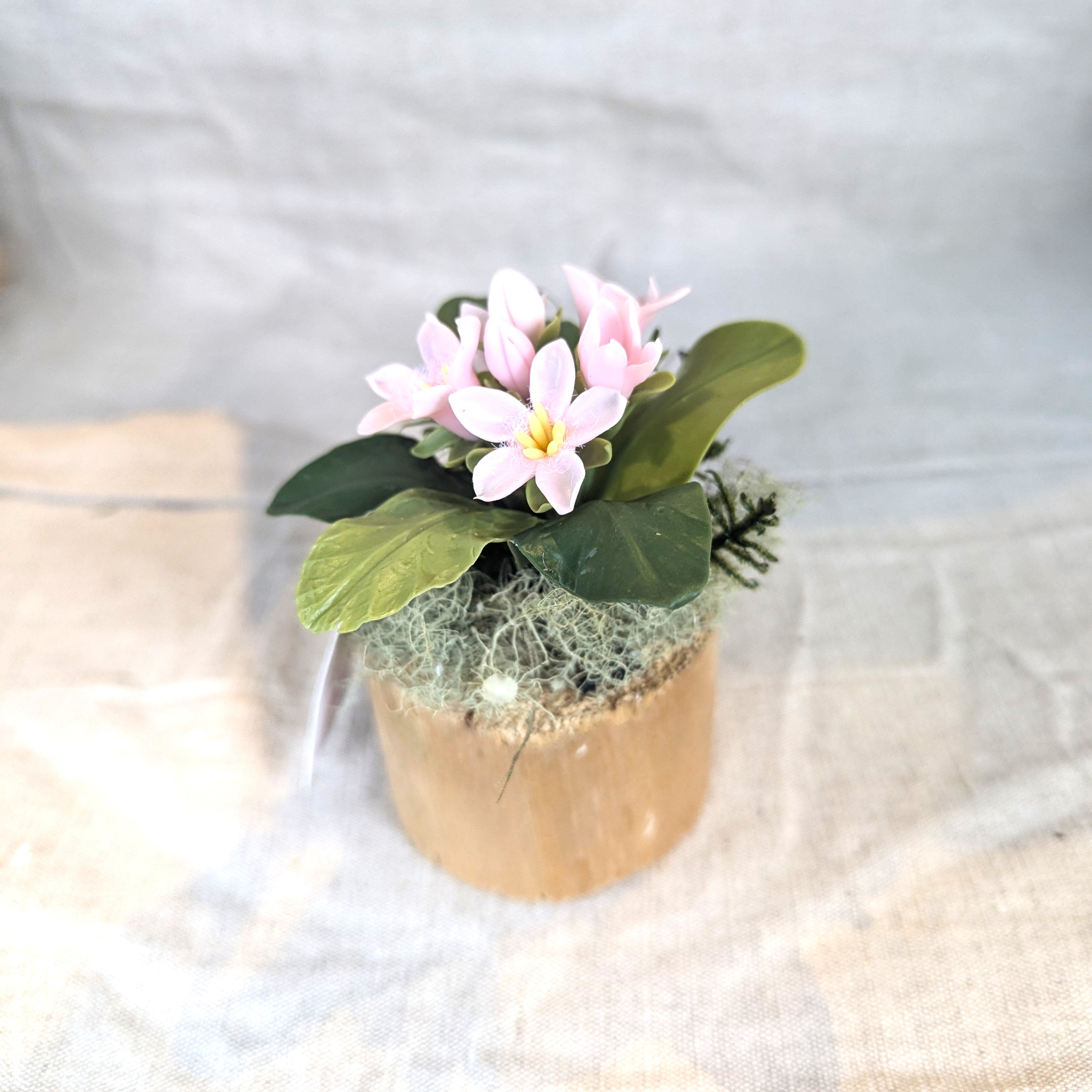Chaba's Clay Flowers - Mayflowers
