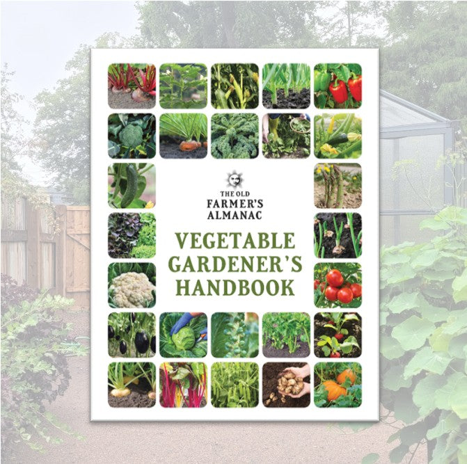The Old Farmer's Almanac: Vegetable Gardener's Handbook