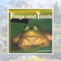 Welcome to the World of Frogs and Toads
