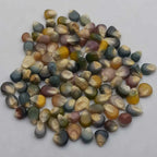 Hope Seeds - Vegetables