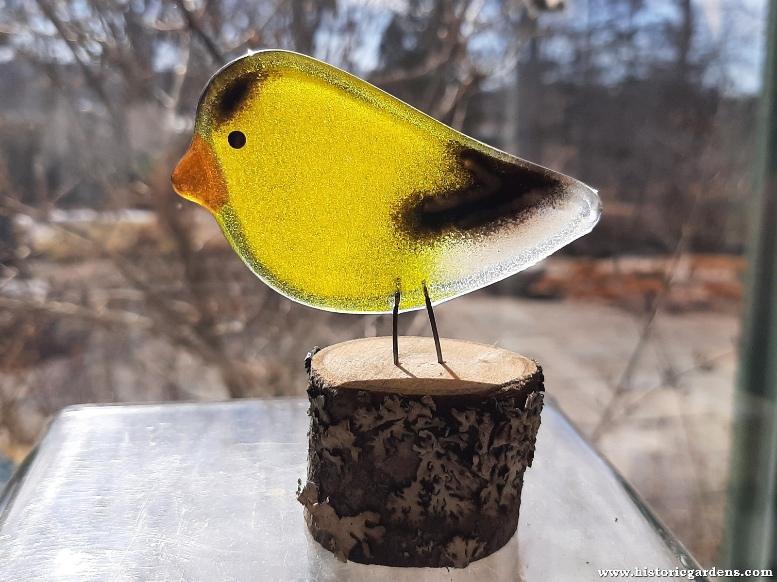 Fused Glass - Goldfinch Chick