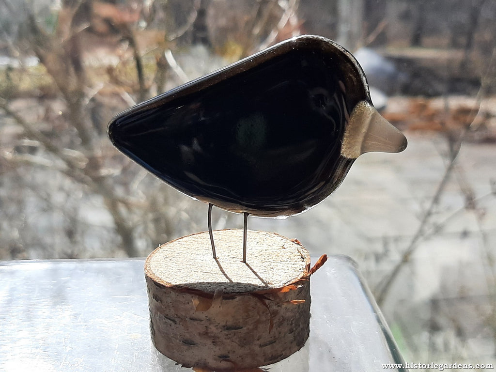 Fused Glass - Crow Chick