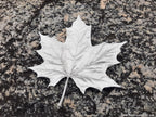 Amos Pewter - Leaf Dishes